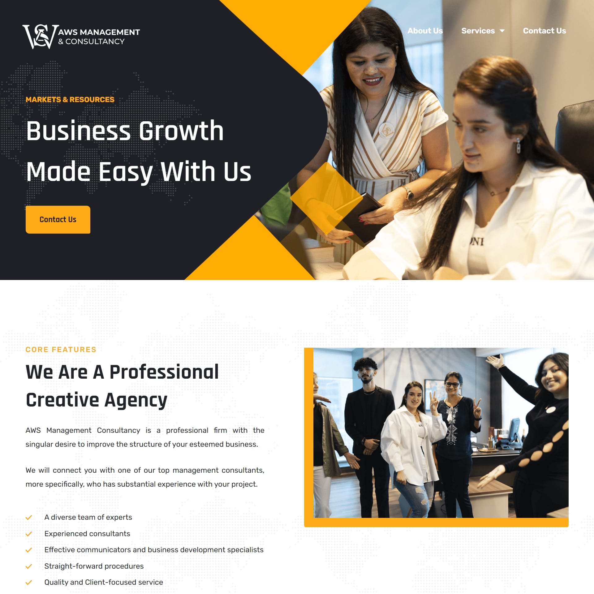 Website development project